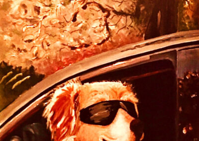 A dog wearing sunglasses